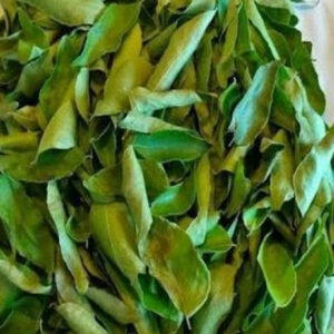 CURRY-LEAVES-300x300 Home Marketplace