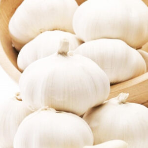 Garlic.jpg