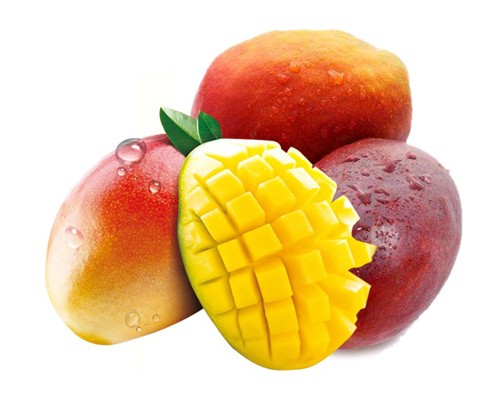 MANGO - GLOBAL IMPORT AND EXPORT GROUP