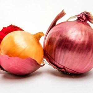 Onion.jpg